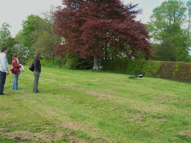 Dag 5, Fort William-Stirling (114).JPG